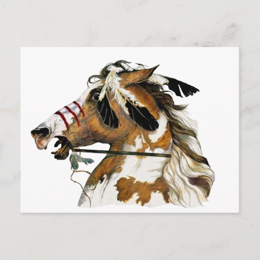 ポン色彩の鮮やかイ ポストカード (正面)