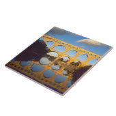 ポン·デュ·ガール、ガードン·リバー、ガール、ランゲドク、 タイル (側面)