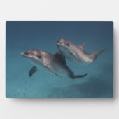 ポーよくはしゃぐズ フォトプラーク (正面)