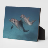 ポーよくはしゃぐズ フォトプラーク (側面)