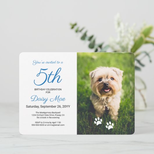 ポーカラフルプが青いペット誕生日写真をプリント 招待状 (スタンド正面)