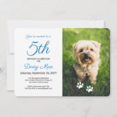 ポーカラフルプが青いペット誕生日写真をプリント 招待状 (正面)