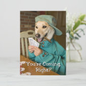 ポーカーゲーム招待 (犬) 招待状 (スタンド正面)