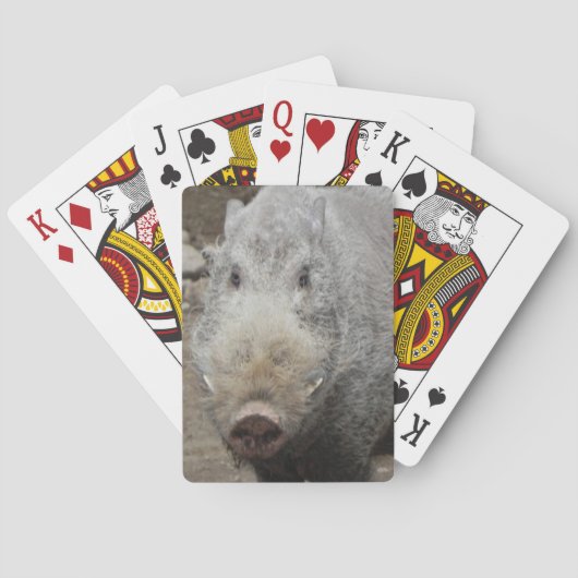 ポーカーフェースのトランプ トランプ (裏面)