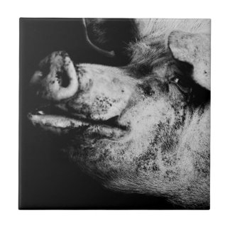 ポーカーポートレート タイル