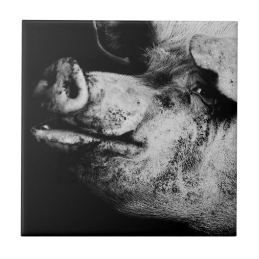 ポーカーポートレート タイル (正面)