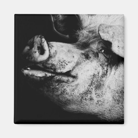 ポーカーポートレート マグネット (正面)