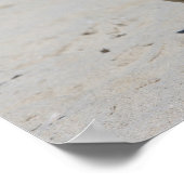 ポークアットザビーチ ポスター (角)