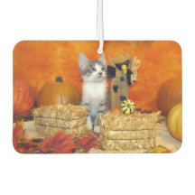 ポークチョップかわいい猫秋/感謝祭