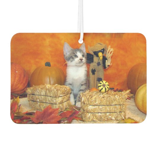 ポークチョップかわいい猫秋/感謝祭 カーエアーフレッシュナー (正面)