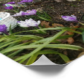 「ポークチョップ」イースターピグ! ポスター (角)