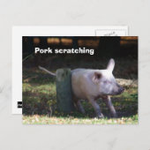 「ポーク・スクラッチ」はがき ポストカード (正面/裏面)