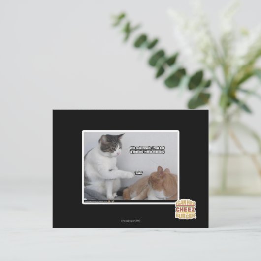 ポーク。 ポストカード (スタンド正面)