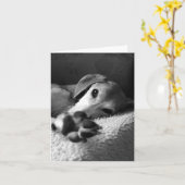 ポーサミー カード (黄色い花)