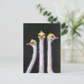 ポーサー ポストカード (スタンド正面)