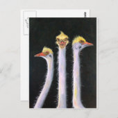 ポーサー ポストカード (正面/裏面)