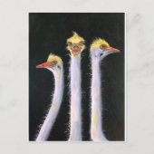 ポーサー ポストカード (正面)