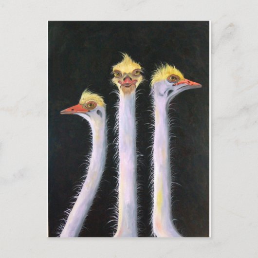 ポーサー ポストカード (正面)