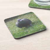 ポージング鳩コルクコースター コースター (左側)