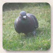 ポージング鳩コルクコースター コースター (正面)