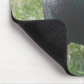 ポージング鳩マウスパッド マウスパッド (コーナー)