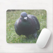 ポージング鳩マウスパッド マウスパッド (マウス)