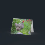 ポージング・ヘン・ノーテカード カード<br><div class="desc">このノテカードは美しいポーズのバーレッドのロックヘンを備えている。チキン素晴らし好きなら誰でも！</div>