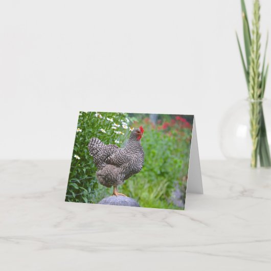 ポージング・ヘン・ノーテカード カード (正面)