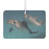 ポーズよくはしゃぐ カーエアーフレッシュナー (裏面)