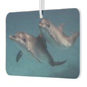 ポーズよくはしゃぐ カーエアーフレッシュナー (左)