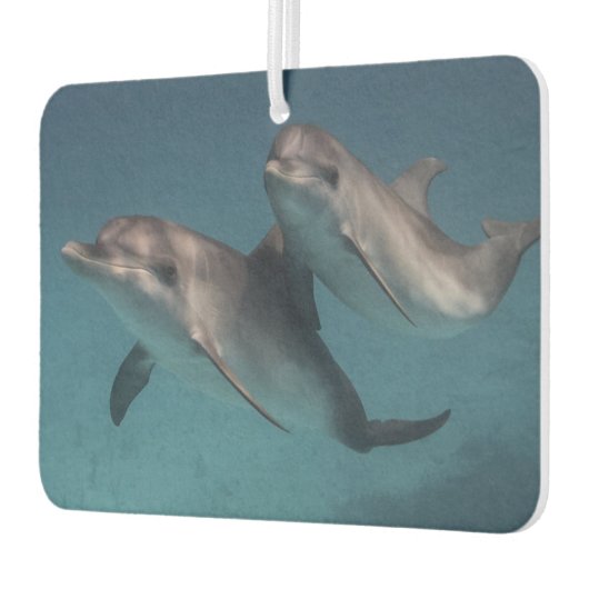 ポーズよくはしゃぐ カーエアーフレッシュナー (左)