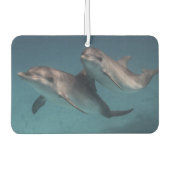 ポーズよくはしゃぐ カーエアーフレッシュナー (正面)