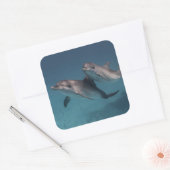 ポーズよくはしゃぐ スクエアシール (封筒)