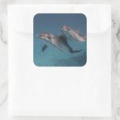 ポーズよくはしゃぐ スクエアシール (バッグ)