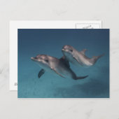 ポーズよくはしゃぐ ポストカード (正面/裏面)