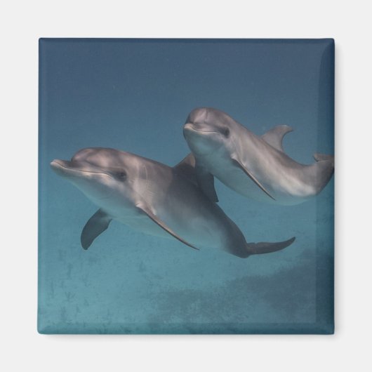 ポーズよくはしゃぐ マグネット (正面)