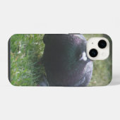 ポーズをとる鳩 iPhoneケース (裏面横)