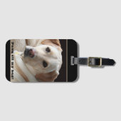 ポーズオフ私のバッグイエロー・ラブラドール・レトリーバーリトリエバーラゲージタグ ラゲッジタグ (正面横)