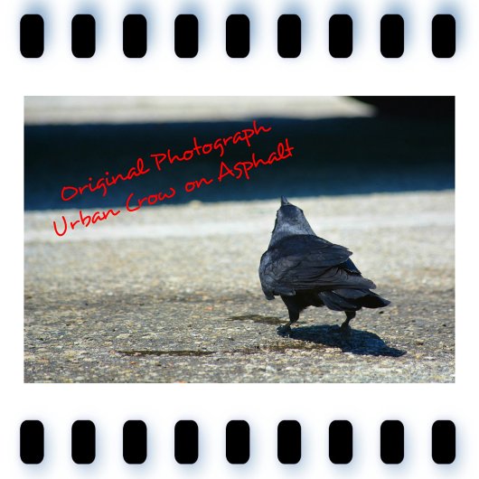 ポーズレイヴン引用文ゴシック 吊り下げ型タペストリー