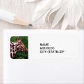 ポーズ付けキリン住所 シール (インサイチュ)