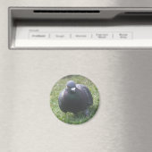 ポーズ付けハト磁石 マグネット (インサイチュ (食洗機))