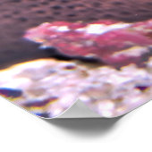 ポーズ付けモレー ポスター (角)