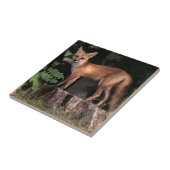 ポーズ付け赤キツネ タイル (側面)