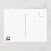 ポーズ付け赤キツネ ポストカード (裏面)