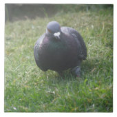 ポーズ付け鳩タイル タイル (正面)