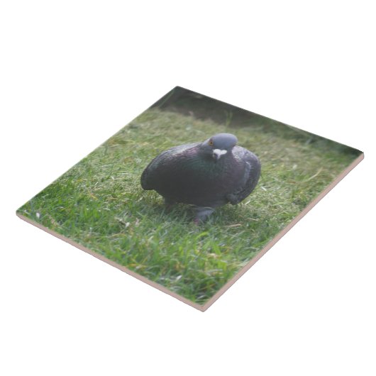 ポーズ付け鳩タイル タイル (側面)
