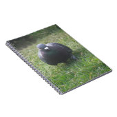 ポーズ付け鳩ノート ノートブック (右側)