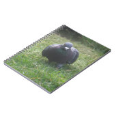 ポーズ付け鳩ノート ノートブック (左側)