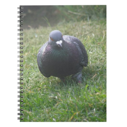 ポーズ付け鳩ノート ノートブック (正面)