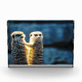 ポーズ設定メルカット フォトブロック (正面)